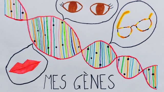 "La génétique", un dessin réalisé par Maiwenn. [Maiwenn]
