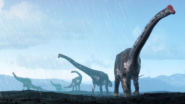 Une représentation d'artiste d'un titanosaure argentin. [Mark Garlik/Science Photo Library/MGA - AFP]