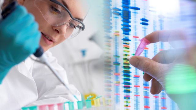 Les tests ADN remportent un grand succès et permettent désormais à chacun et chacune d'obtenir des informations sur ses origines. [Tek Image / Science Photo Library - AFP]