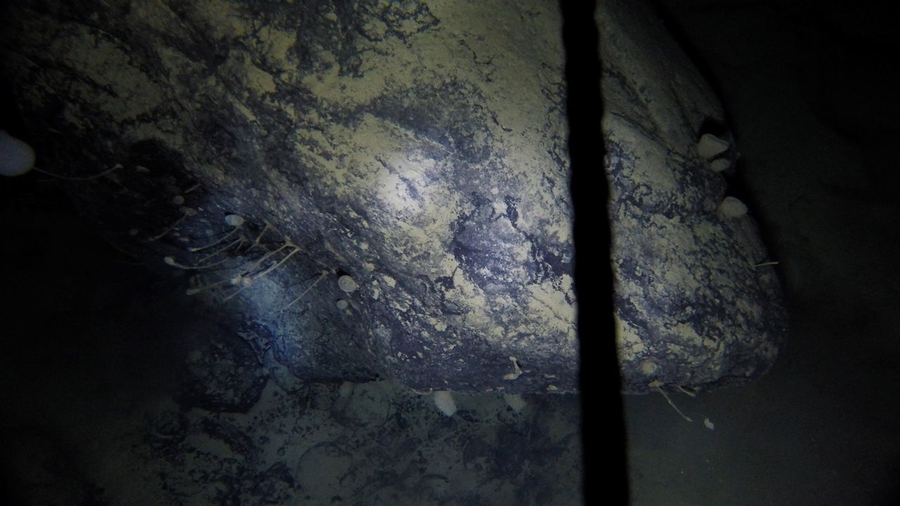 Image du rocher où la faune marine a été découverte dans les profondeurs, sous la banquise. [BAS/EPA/Keystone]