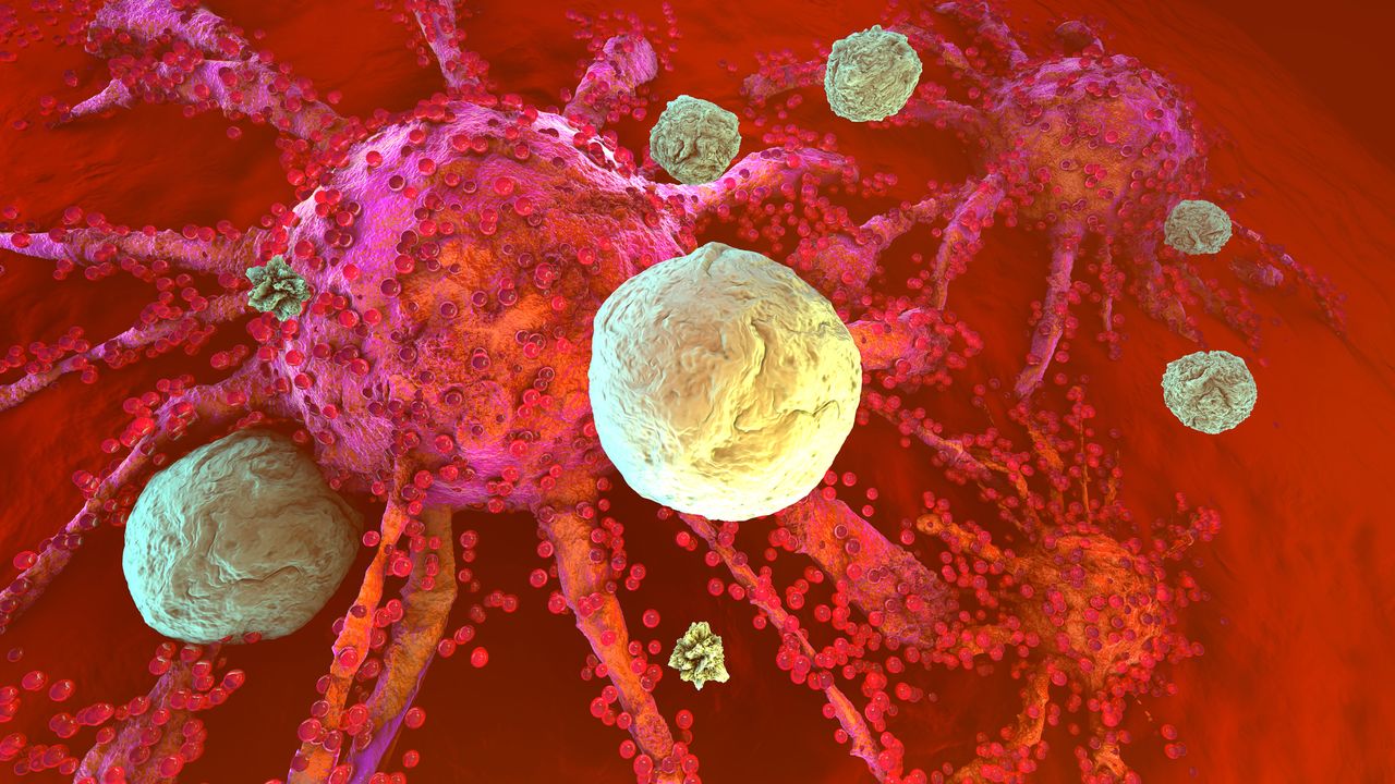 L'immunothérapie porte de grands espoirs dans la lutte contre le cancer.
Spectral
Depositphotos [Spectral - Depositphotos]