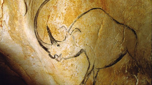 Une peinture de rhinocéros dans la Grotte Chauvet, Ardèche, France. [Inocybe / French Wikipédia - Domaine public]