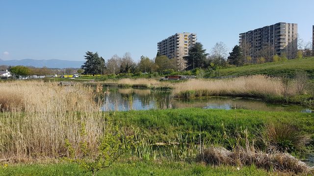 Nature et biodiversité en milieu urbain: des lacs en pleine ville? [DR - DR]