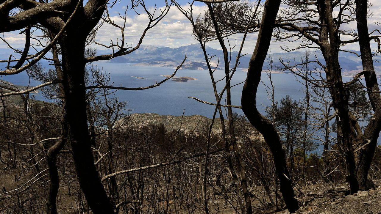Incendies en Grèce: "Une immense catastrophe écologique" [Vassilis Psomas - Keystone]