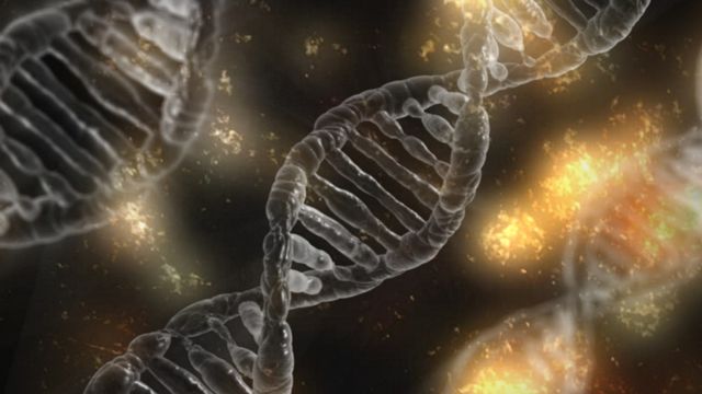 Des chercheurs genevois ont découvert une protéine capable de transmettre des informations à la génération suivante. (Image prétexte) [Pixabay]