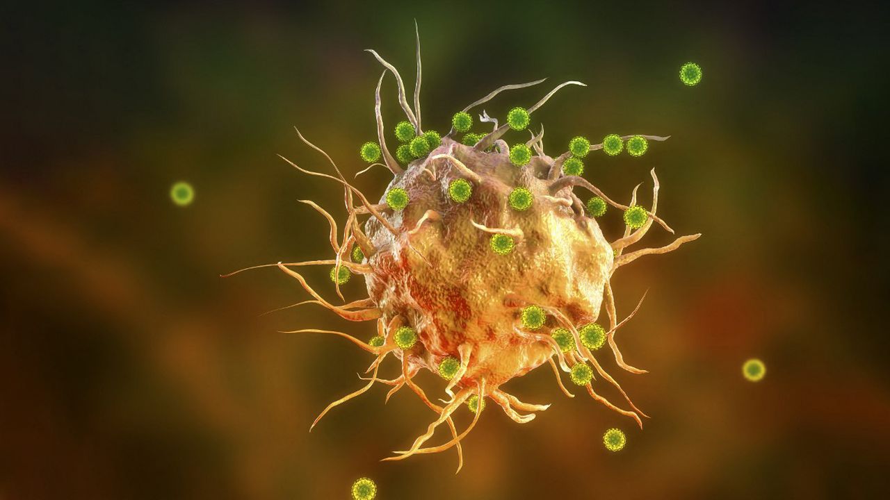 Une illustration de virus du SARS-CoV-2 attaquant une cellule immunitaire. [Kateryna Kon/KKO - Science Photo Library via AFP]