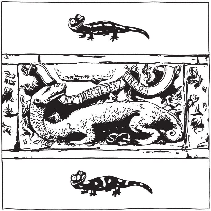 La salamandre tachetée est devenue l’emblème du roi de France, François Ier.