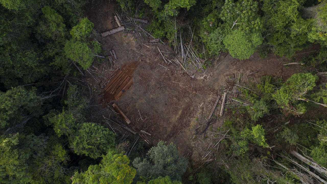 Des patrouilles de populations indigènes équipées de smartphones et de données de satellites ont permis de fortement réduire la déforestation illégale dans l'Amazonie au Pérou. [Leo Correa - Keystone]