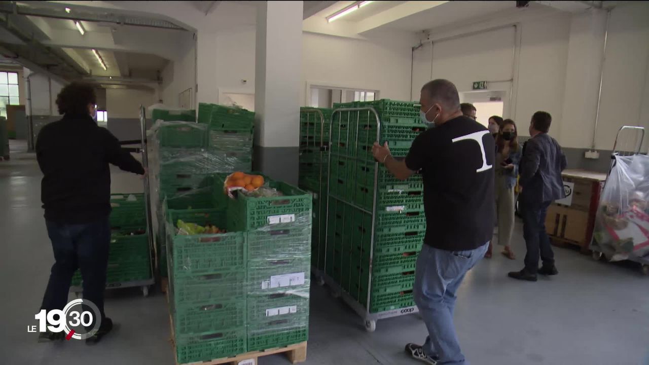 Un nouveau centre de tri et de redistribution des fruits et légumes invendus voit le jour à Penthalaz (VD) [RTS]