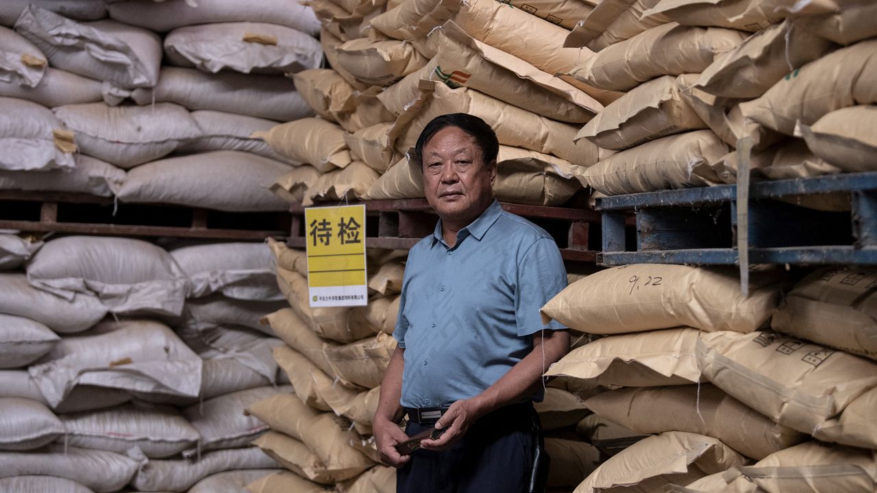 Sun Dawu, le milliardaire chinois en septembre 2019 dans une grange à Hebei. [Noel Celis - AFP]