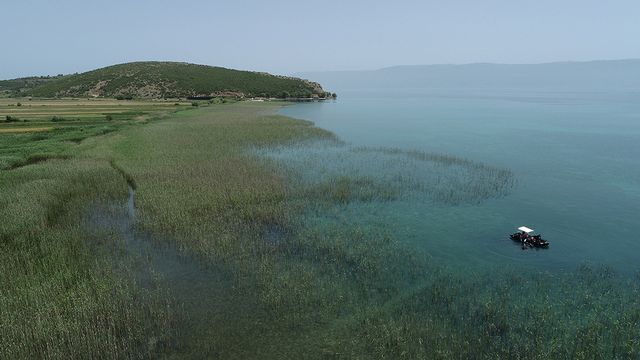 Les rives du lac Ohrid en été 2021.
Img avec CP Unibe
Johannes Reich
Unibe [Johannes Reich - Unibe]