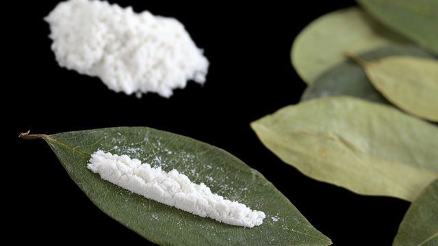 De la cocaïne et des feuilles de coca, dont le produit est extrait. [Ildi - Fotolia]