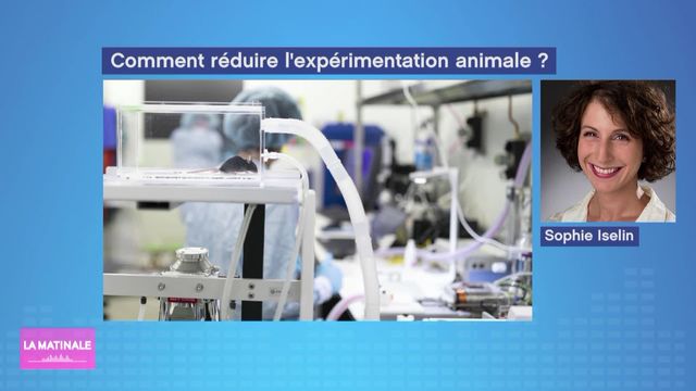 Evolution de l’expérimentation animale dans la recherche en Suisse (vidéo) [RTS]
