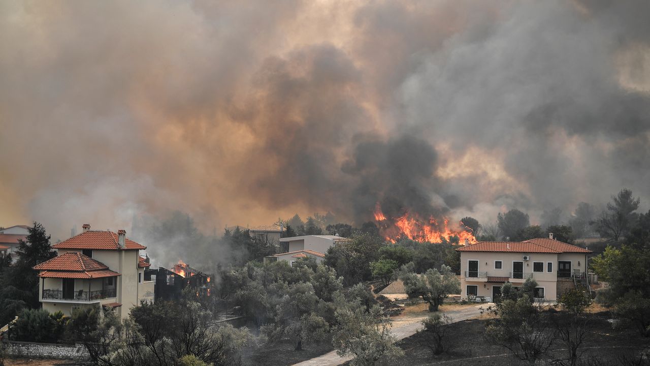 La forêt brûle autour du village d'Afidnes, en Grèce, au mois d'août 2021. [LOUISA GOULIAMAKI  - AFP]