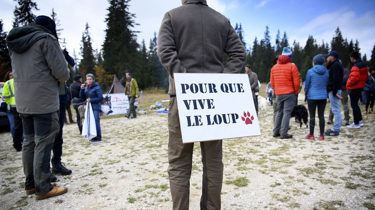 Une personne avec une pancarte "Pour que vive le loup" lors d'une manifestation contre le tir du loup. [Laurent Gillieron - Keystone]