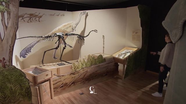 Le paléontologue américain Steve Brusatte a découvert que les dinosaures étaient déjà présents sur terre il y 50 millions d’années. [RTS]