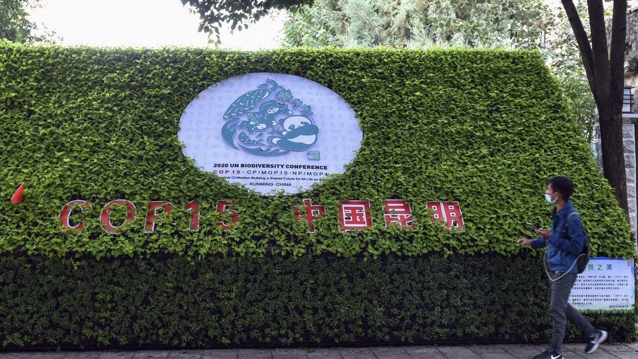 La déclaration de Kunming sur la biodiversité devra être suivie d'actions fortes. [Chinatopix - AP]