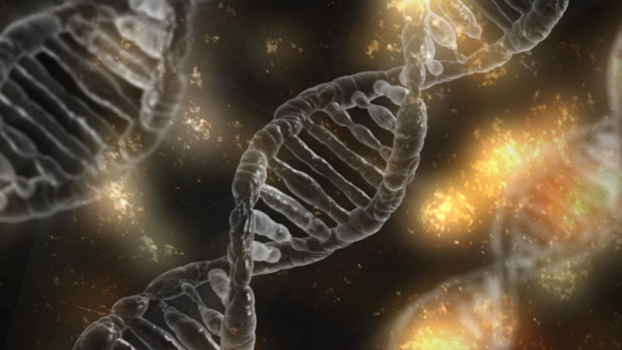 Un modèle d'ADN à double hélice. (Image prétexte) [Pixabay]