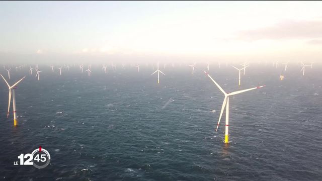Un parc de 58 éoliennes a récemment été inauguré en Belgique. Reportage. [RTS]
