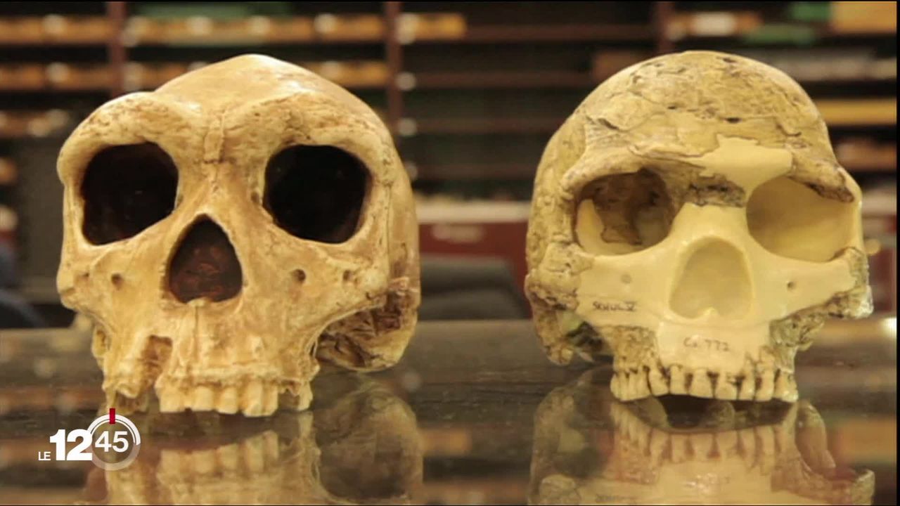 En Afrique du Sud des fossiles relancent l'énigme sur de lointains cousins de l'Homme. [RTS]