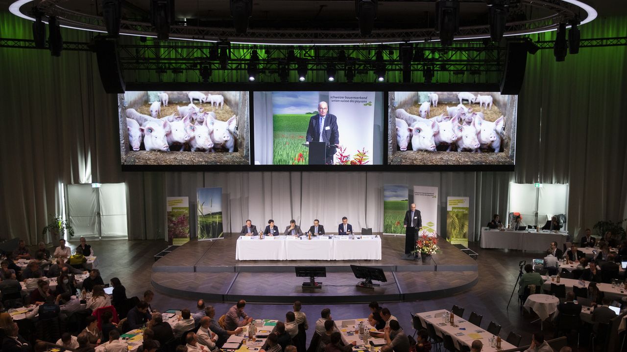 L'Union suisse des paysans se prépare déjà contre l'initiative sur l’élevage intensif. [Peter Klaunzer - Keystone]