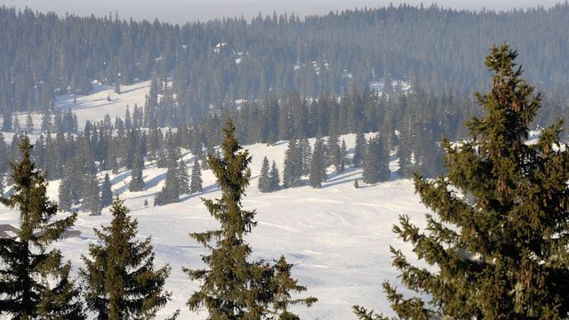 Forêt recouverte de neige dans la Vallée de Joux (image d'illustration). [Laurent Gilliéron - Keystone]