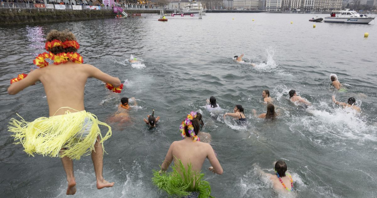 Plus de 3000 intrépides se jettent à l'eau à Genève pour la Coupe de Noël