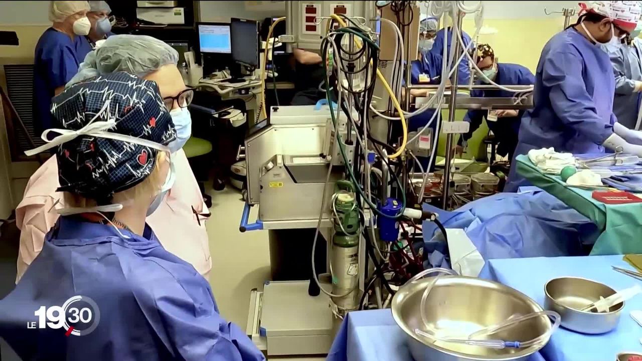 Pour la première fois, des chirurgiens américains ont réussi la greffe d'un cœur de cochon chez un patient humain. [RTS]