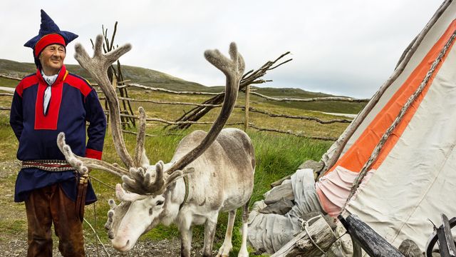Éleveur de cerfs et de rennes vêtu de vêtements nationaux les Sâmes en Norvège [Vlada.Z - Depositphotos]
