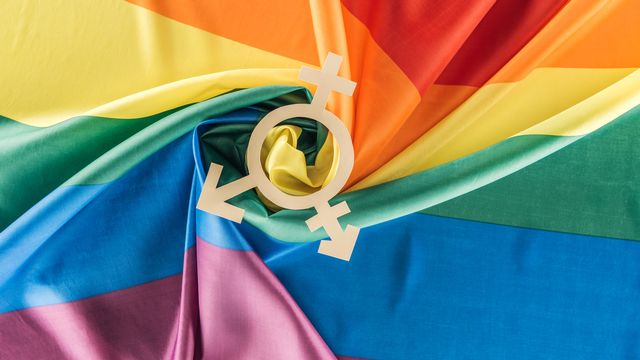 Symbole de la transidentité et drapeau arc-en-ciel, symbole qui rassemble les personnes LGBT. [VadimVasenin - Depositphotos]