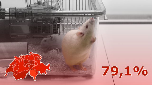 Le peuple suisse a rejeté l'initiative sur l'expérimentation animale. [Keystone]