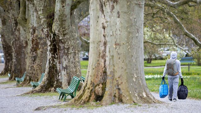 Un homme sans-abri dans le jardin botanique de Genève en 2021. [Salvatore Di Nolfi - Keystone]
