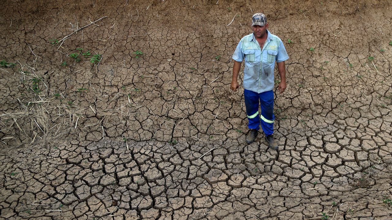 L'Afrique du Sud n'a plus connu une telle sécheresse depuis 1982. [AP Photo/Themba Hadebe - Keystone]