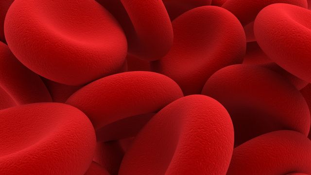 Cellules sanguines rouges. [RomanenkoAlex - depositphotos]