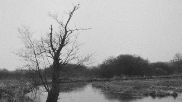 Une promenade dominicale le long de la rivière la Versoix en 1968. [RTS]
