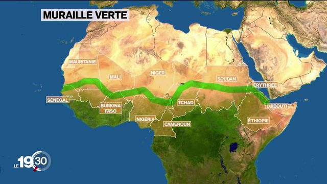L’ambitieux projet de la Grande muraille verte vise à créer en Afrique une barrière végétale de 8'000 km entre l’Atlantique et l’océan Indien [RTS]
