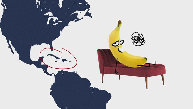 Comment ça pousse - La banane [RTS]