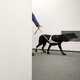 L'étudiant presque aveugle Stephan Huesler, président d'AGILE, avec une cane blanche et son chien guide Dallas, en route pour l'Université des sciences appliquées et des arts du Nord-Ouest de la Suisse (FHNW) à Olten, Suisse, le 27 novembre 2012. [Georgios Kefalas - KEYSTONE]