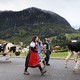 Des armaillis marchent avec un troupeau de vaches lors de la 41e édition de la Désalpe de Charmey, le samedi 26 septembre 2020 à Charmey dans le canton de Fribourg. [Laurent Gillieron - KEYSTONE]