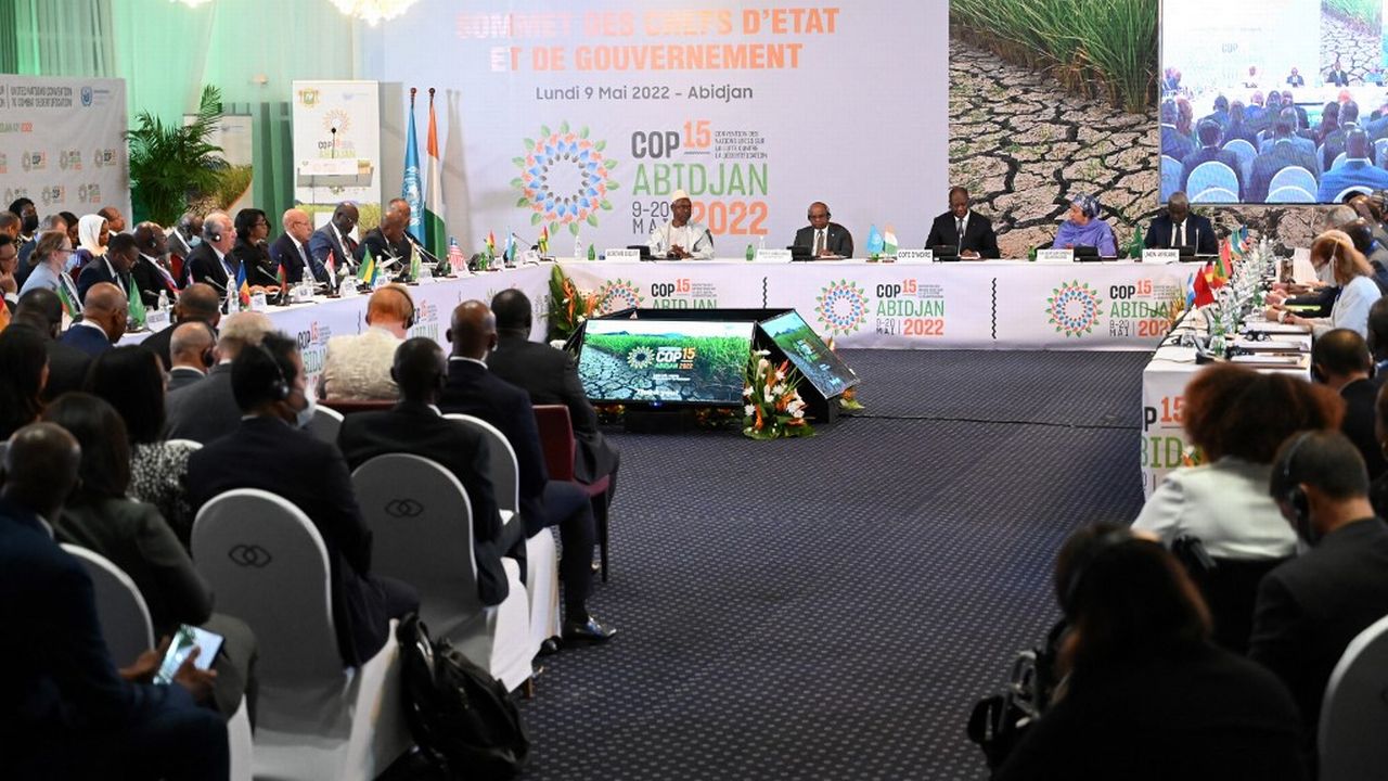 La COP15 a début à Abidjan, en Côte d'Ivoire. [Sia Kambou - afp]