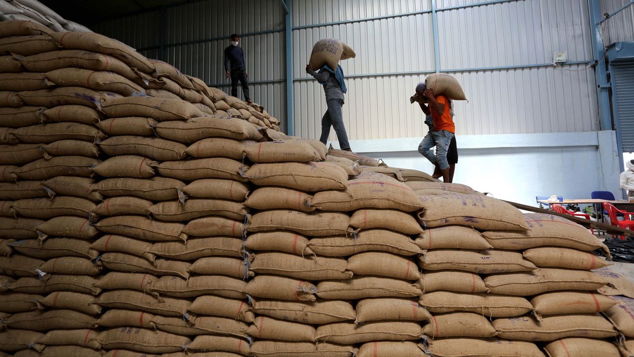 L'embargo indien fait grimper encore plus les prix du blé. [Sanjeev Gupta - EPA/Keystone]