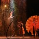 Une image du spectacle "Luiza" du Cirque du Soleil. [Lluis Gene - AFP]