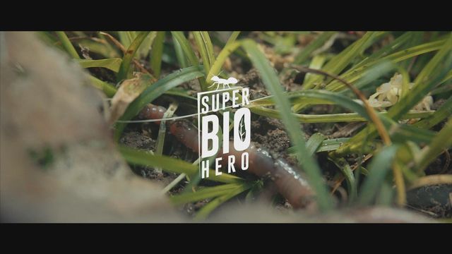 Super Bio Hero : Le ver de terre [RTS]