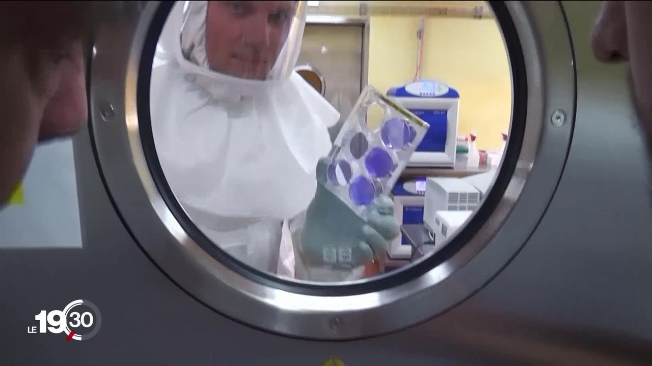 Plus de 482 laboratoires dans le monde sont à la recherche d’un vaccin contre le Covid de seconde génération. [RTS]