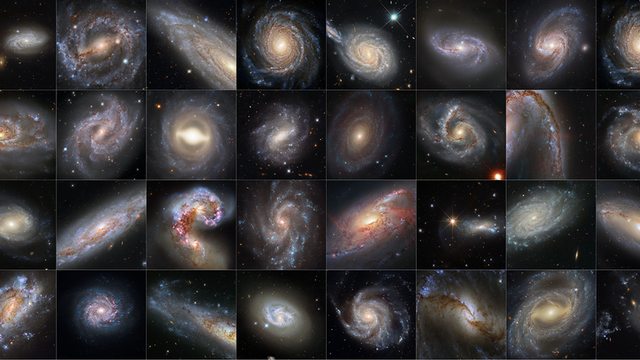 Des images du télescope Hubble. 
Adam G. Riess (STScI, JHU)
NASA/ESA [Adam G. Riess (STScI, JHU) - NASA/ESA]