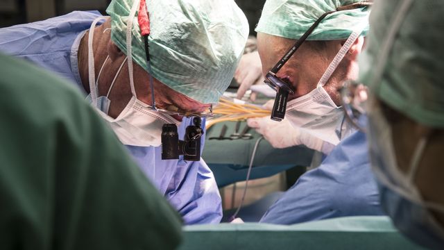 Le professeur Pierre-Alain Clavien le professeur Philipp Dutkowski pratiquent une transplantation du foie.
Universitätsspital Zürich
Centre Wyss [Universitätsspital Zürich - Centre Wyss]