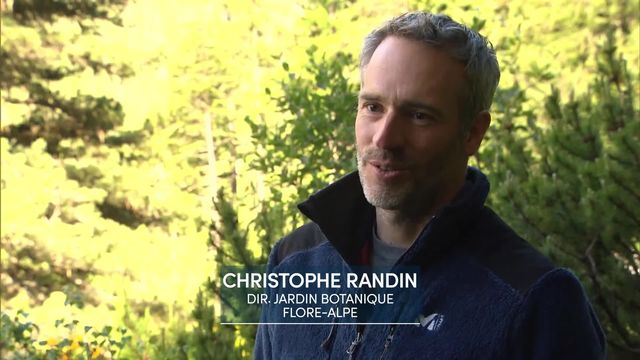 Entretien avec Christophe Randin, directeur du Jardin botanique Flore-Alpe [RTS]