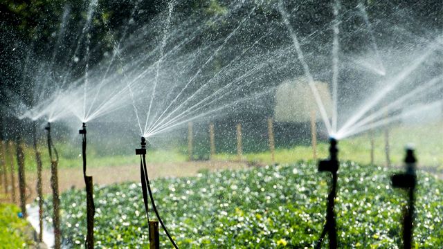 Au cours des 30 dernières années, le coût de l'eau dans l'agriculture a fortement augmenté. [Sigi Tischler - Keystone]