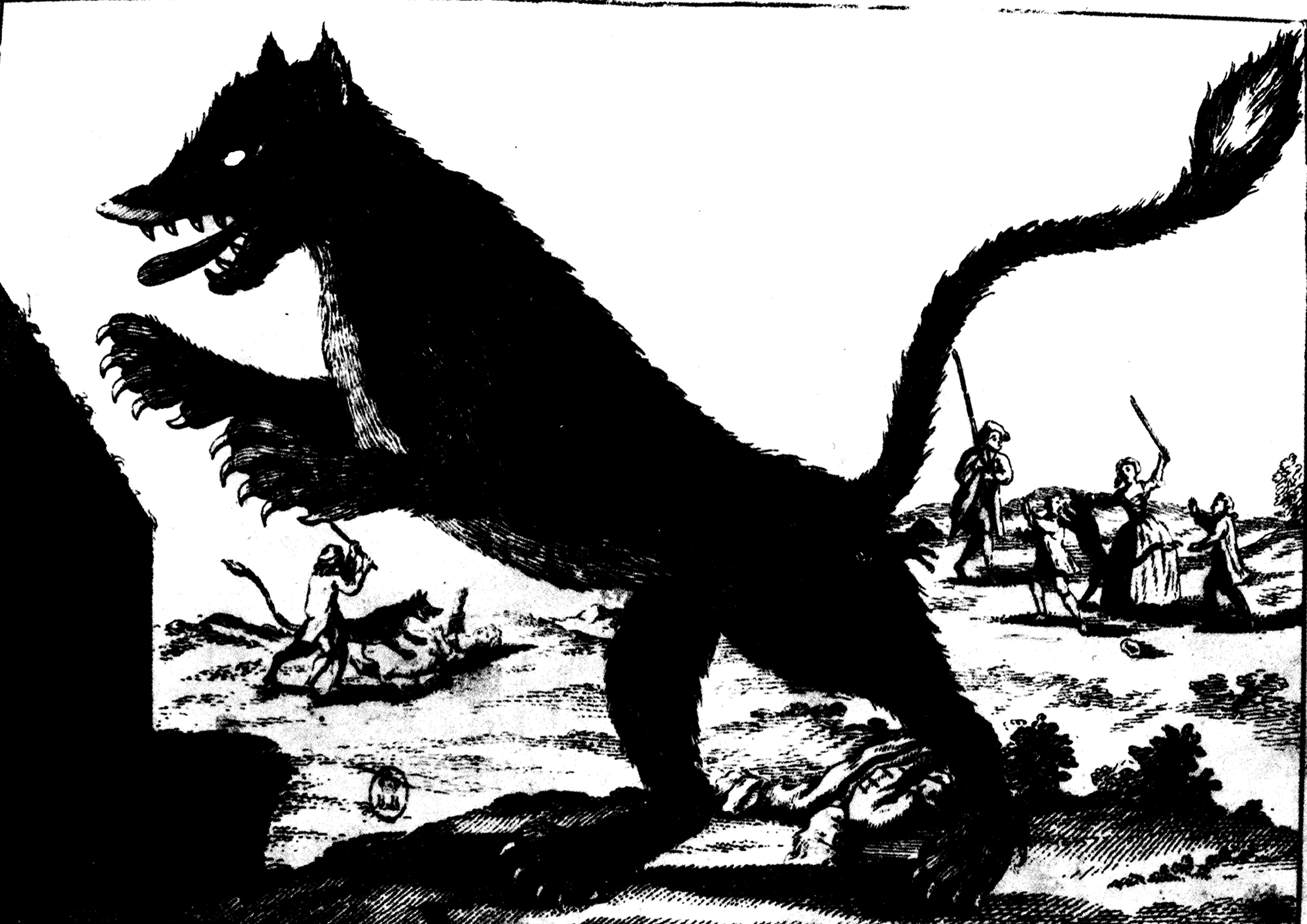 Une gravure de la bête du Gévaudan dans un livre du 18e siècle.