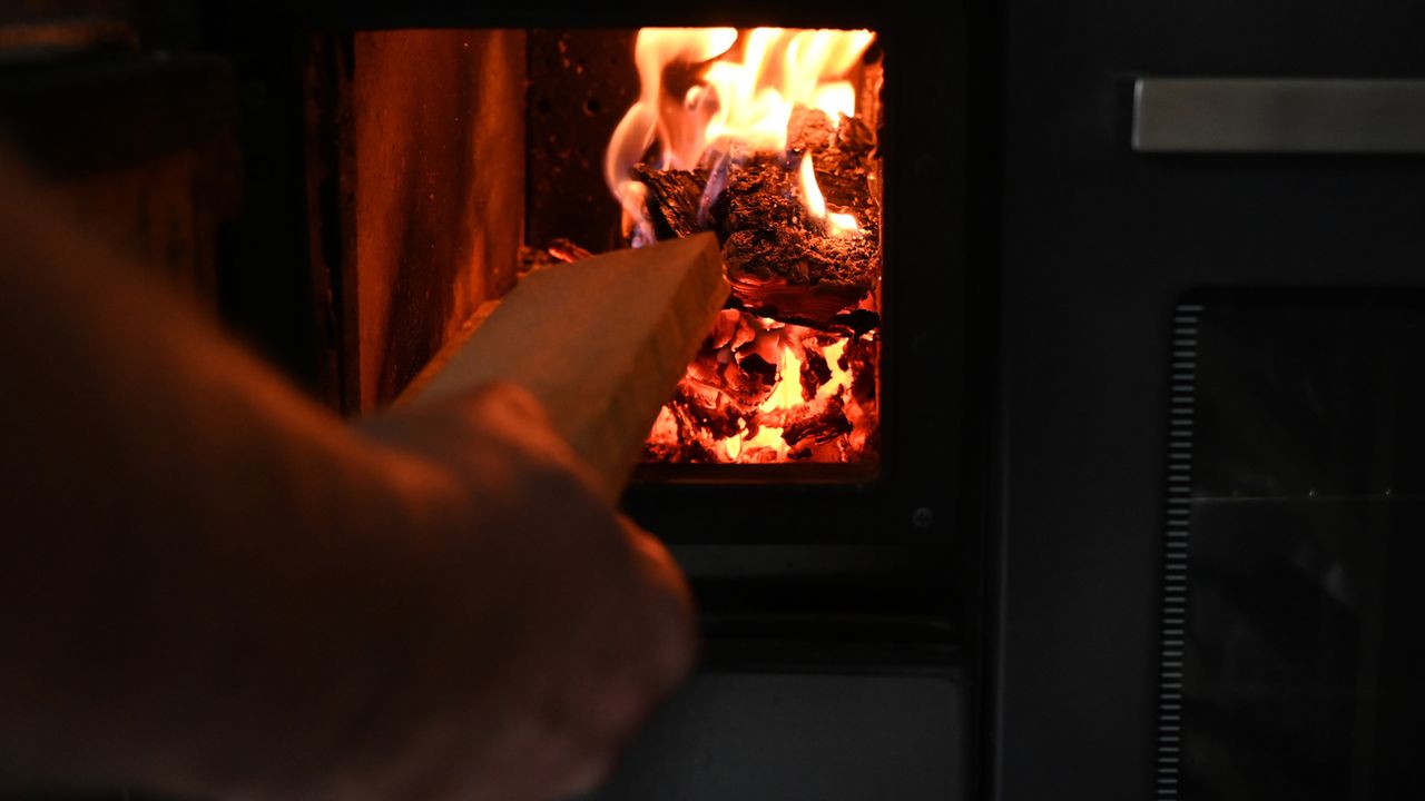 Le bois de chauffage pourrait servir d'alternative au gaz. [APA/BARBARA GINDL - KEYSTONE]